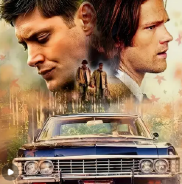 Diamond Painting Brothers Thema